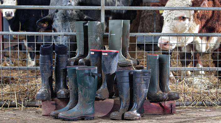 Farm boots