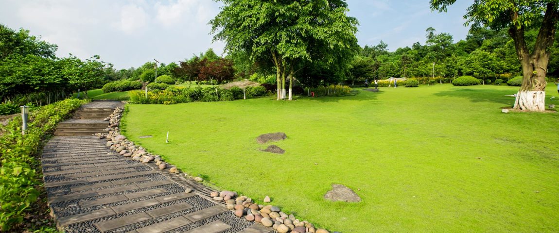 garden