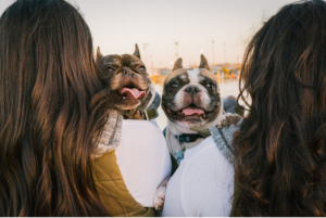 dogs